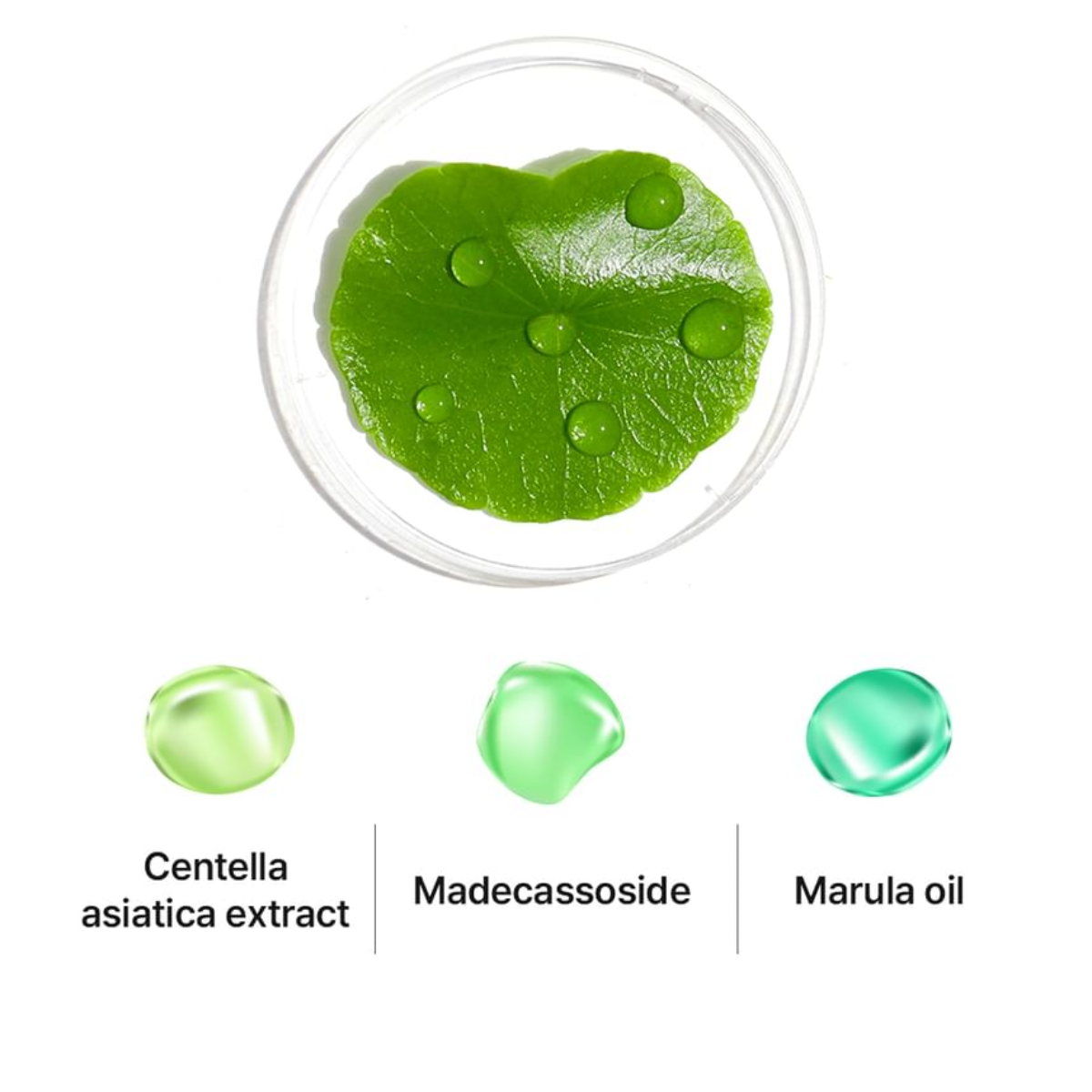 Ampoule Reparadora WellDerma Needle Exosome Ampoule 100 de 30 mL con Exosomas y Micro-Espículas