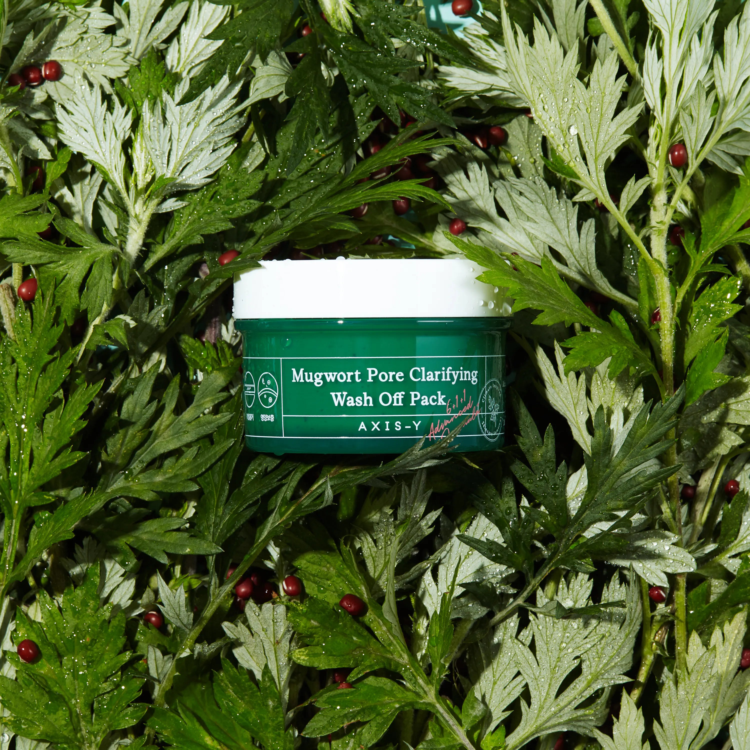 Limpiador Facial Axis-Y Mugwort Pore Clarifying Wash Off 100 gramos