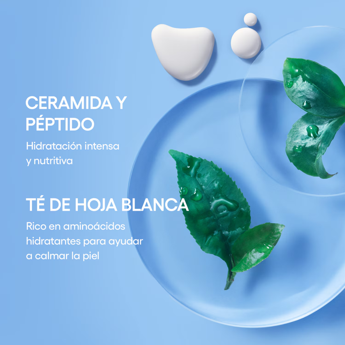 Ingredientes clave ceramidas y péptidos en tónico LANEIGE