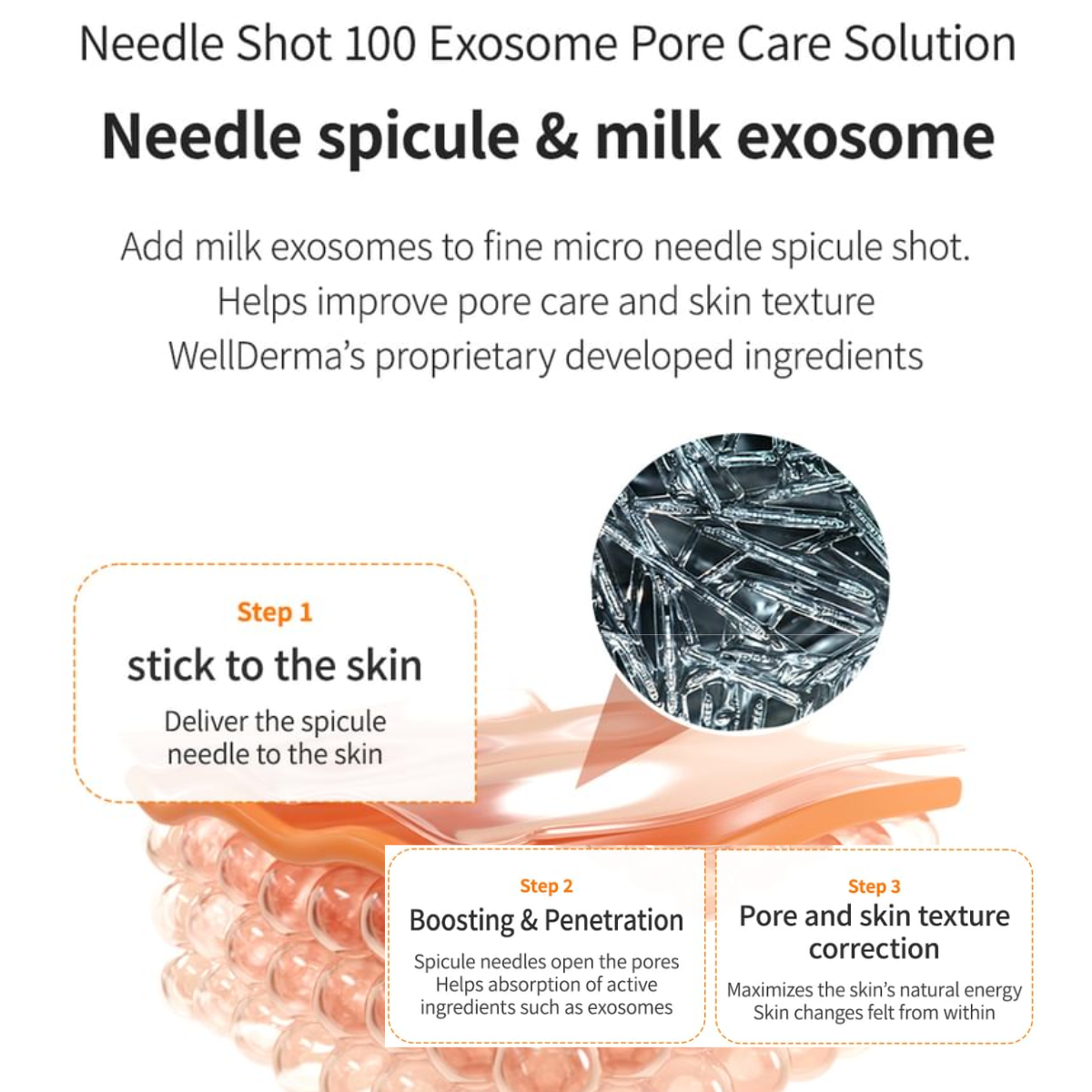 Ampoule Reparadora WellDerma Needle Exosome Ampoule 100 de 30 mL con Exosomas y Micro-Espículas