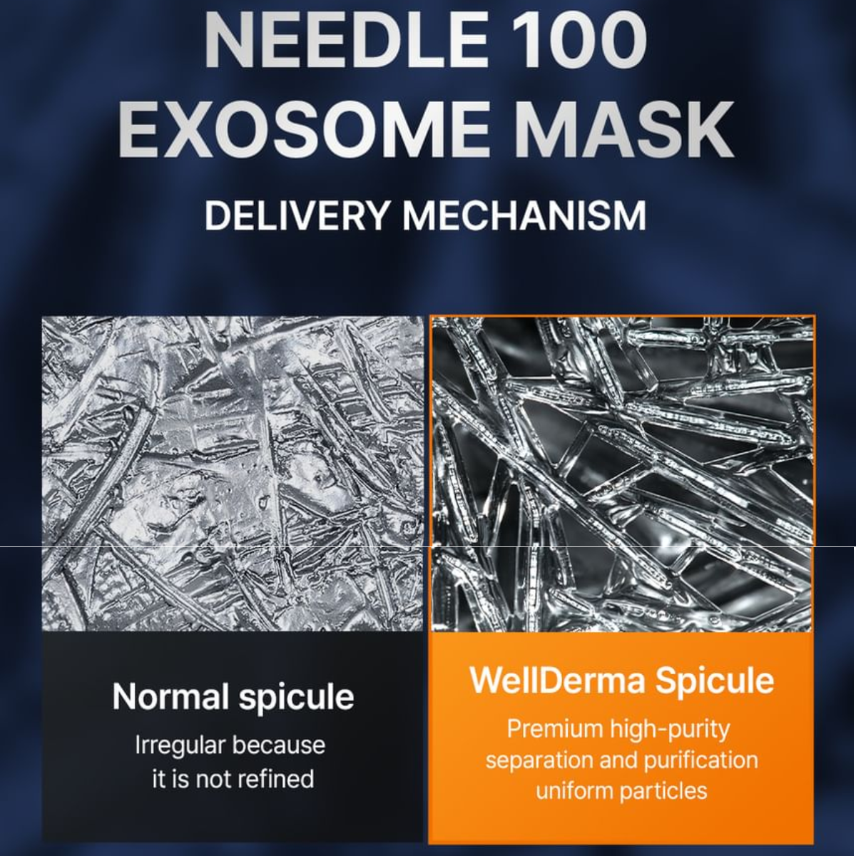 Mascarilla Facial WellDerma Needle 100 Exosome Mask Set de 5 pcs Reparación Intensiva con Micro Espículas