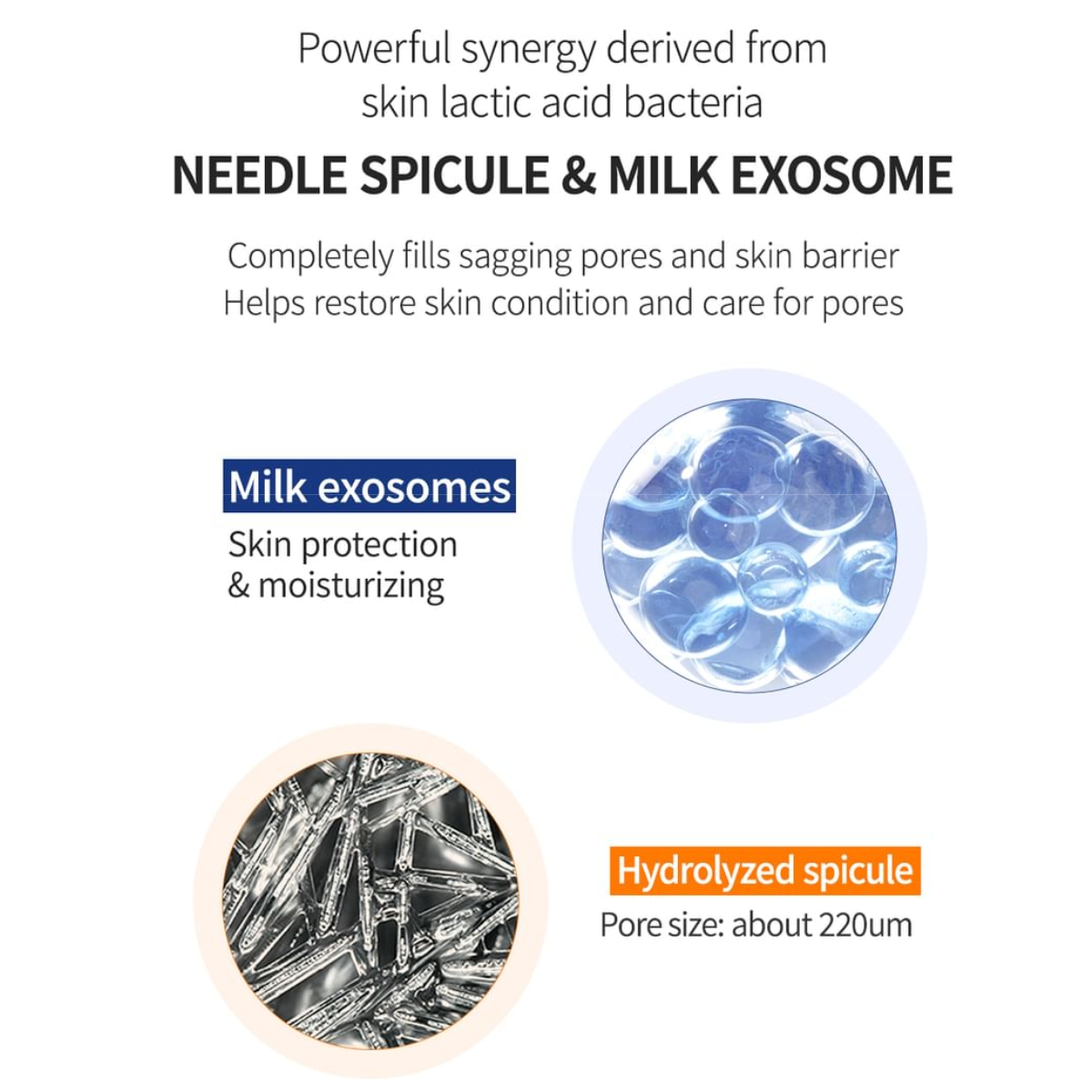 Ampoule Reparadora WellDerma Needle Exosome Ampoule 100 de 30 mL con Exosomas y Micro-Espículas