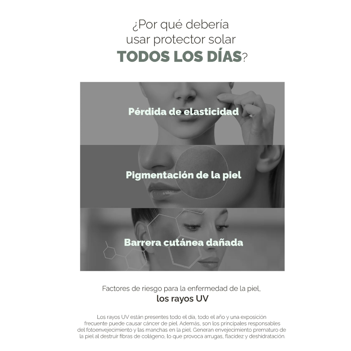 Protector Solar MIXSOON Centella Sun Cream 50 mL