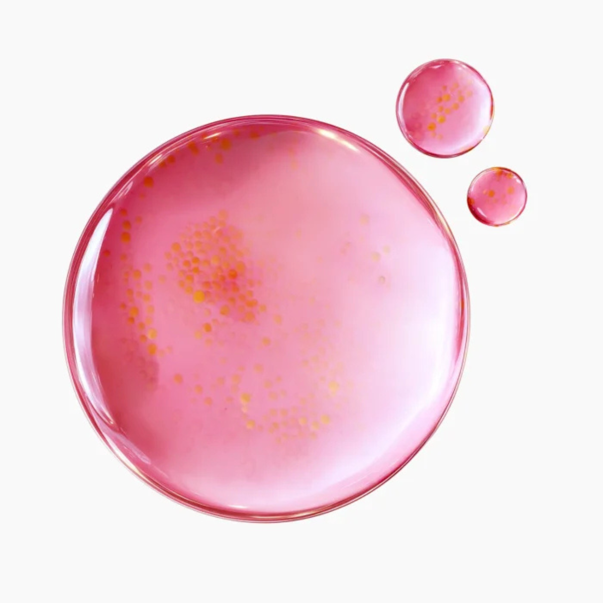 Suero Facial Purito Seoul TXA 6 Niacinamide 10 Retinal Serum 30 mL